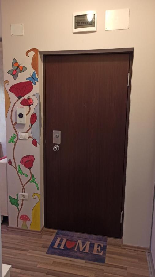 Cozy Home Bujorilor Timisoara Exterior foto